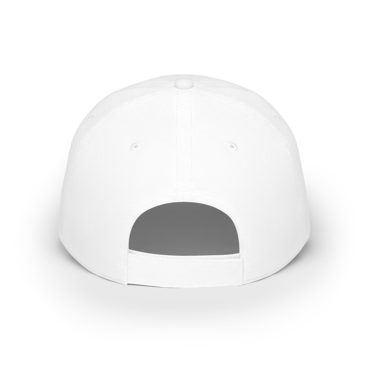 BEEMER Low Profile Baseball Cap